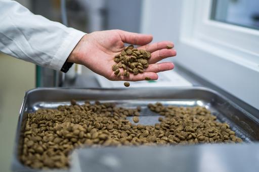 В Россельхознадзоре прокомментировали ситуацию с кормами для собак и кошек Farmina