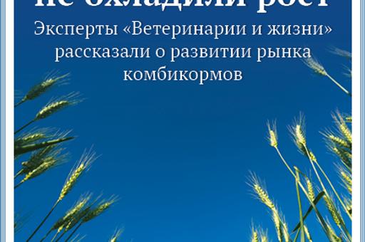 Номер 6 (85) июнь 2024